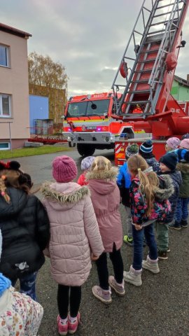 navsteva1buhasicu 14